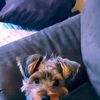 bettybrandon